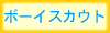 �{�[�C�X�J�E�g�t����10�c